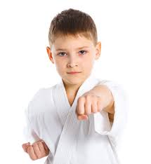 North Metro Martial Arts - Kids Karate